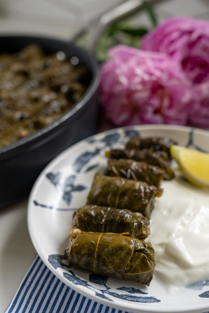Stuffed Grape Leaves